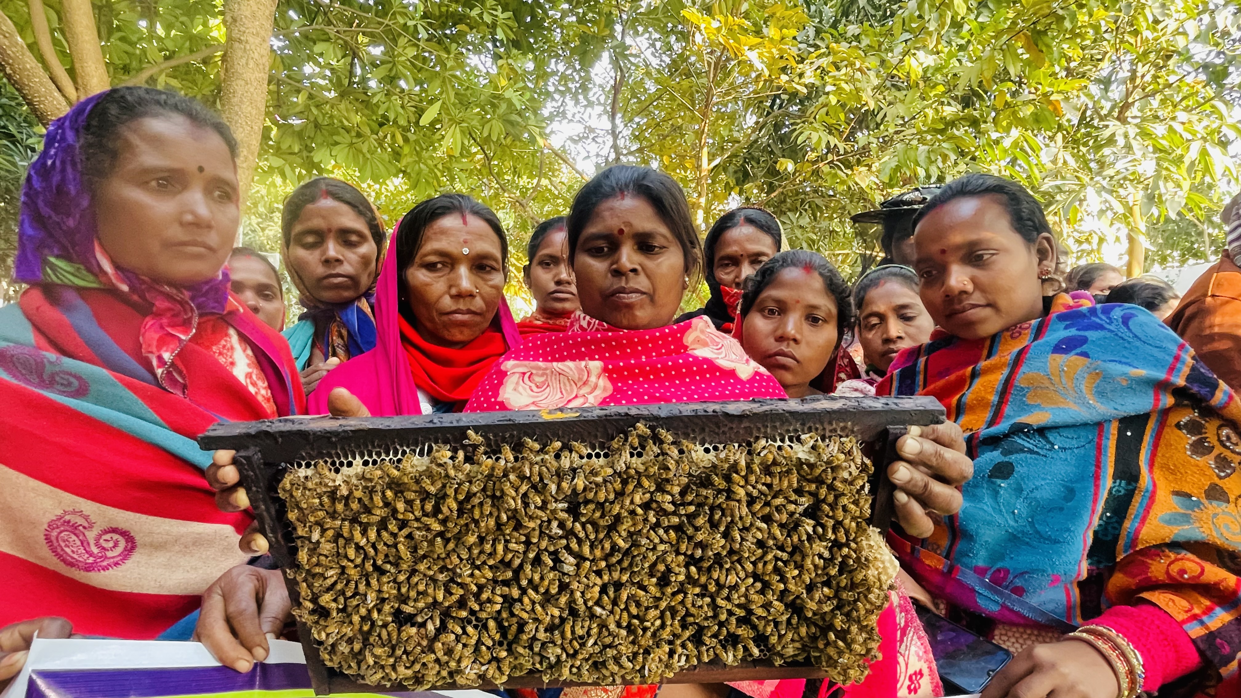 Beekeeping training